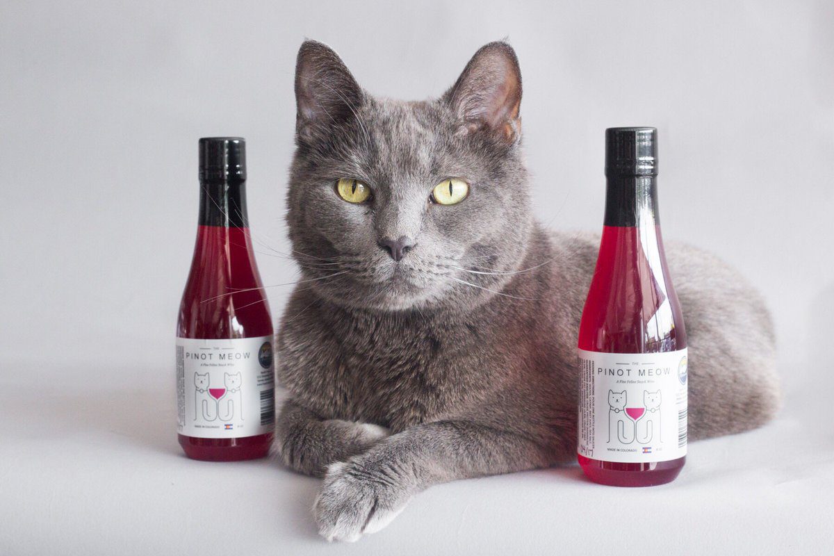 Catnip wine clearance for cats