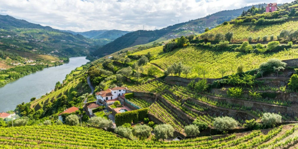 best wine tours douro valley