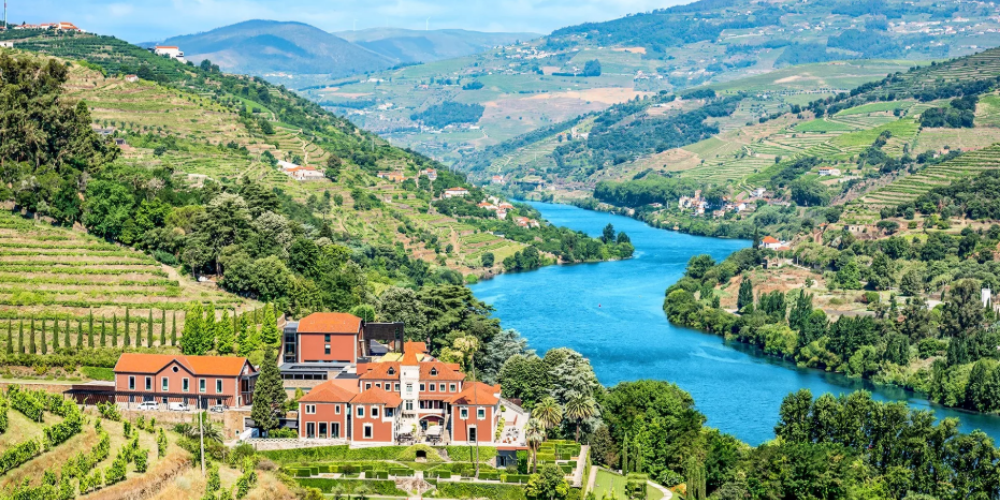 douro valley wine tour viator