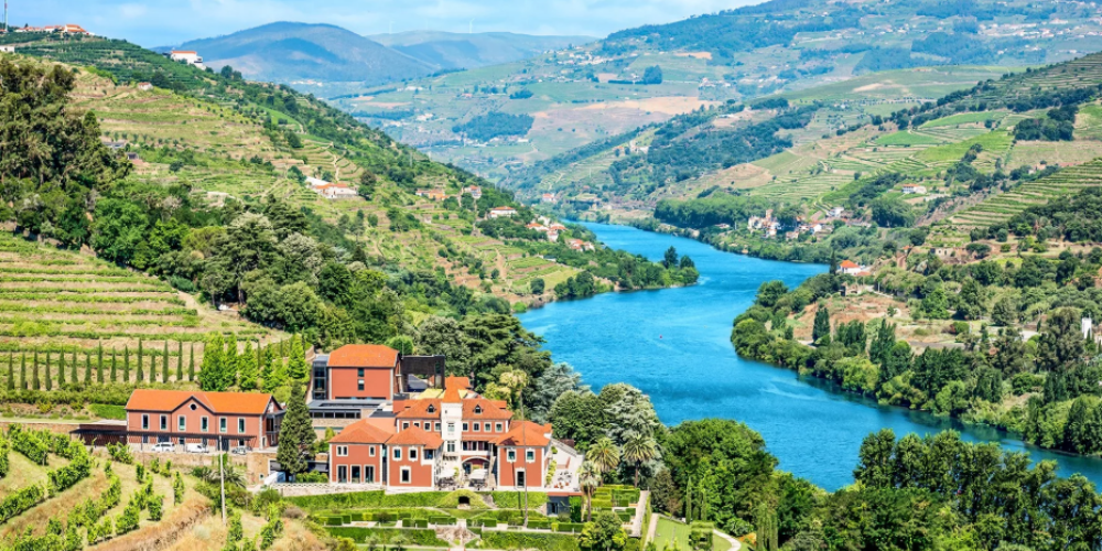 douro valley wine tour reddit