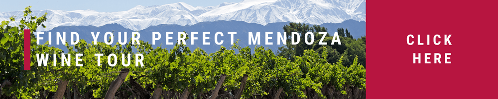 The best wine tours in Mendoza and winery visits