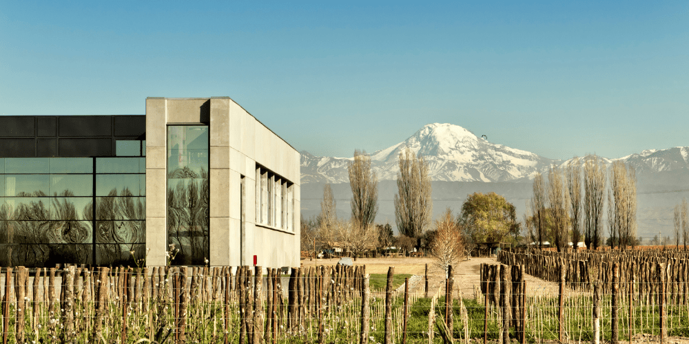 The best wine tours in Mendoza and winery visits