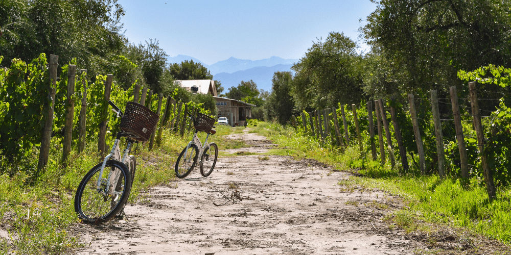 Mendoza wine tour by bike