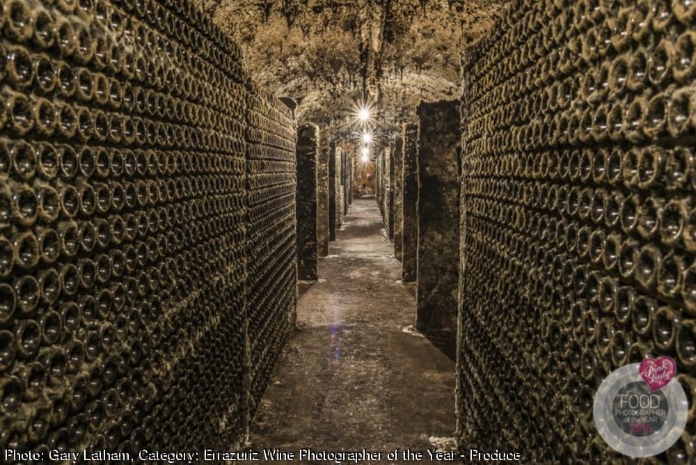 Best Wine Pictures and Photographers the Errazuriz Wine Photographer