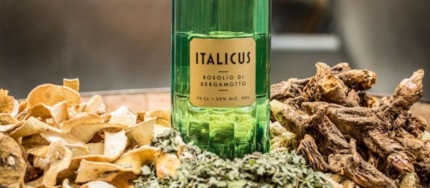 What is Magazine Italicus - Bergamotto? Rosolio : Winerist di Magazine Winerist