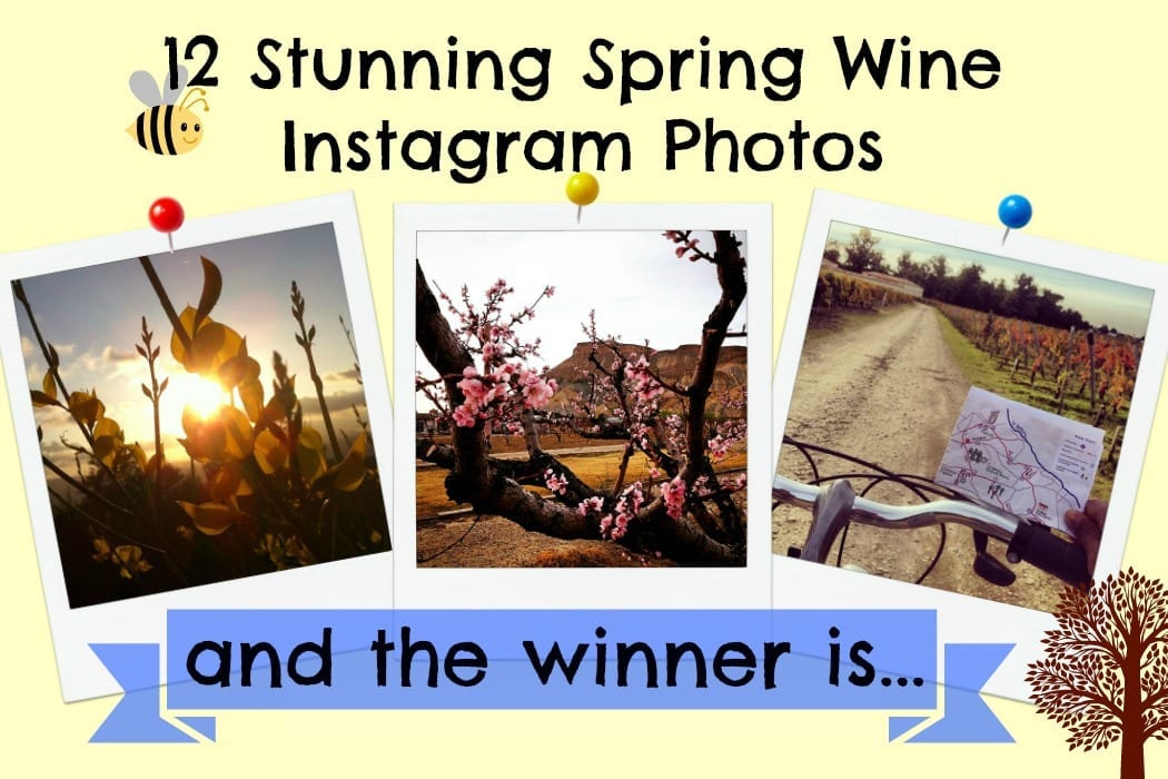 Announcing the Winner of our Spring Vineyard Competition - Winerist ...