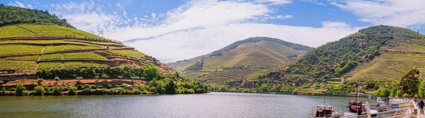 best wine tour in douro valley
