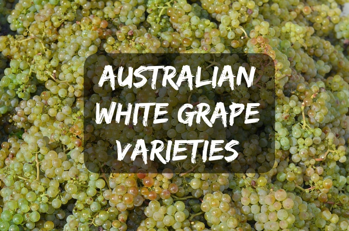 Australian Grape Varieties - Whites - Winerist Magazine : Winerist Magazine