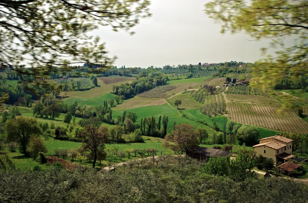 Umbria Wine - The Ultimate Guide to the Wines of Umbria - Winerist ...