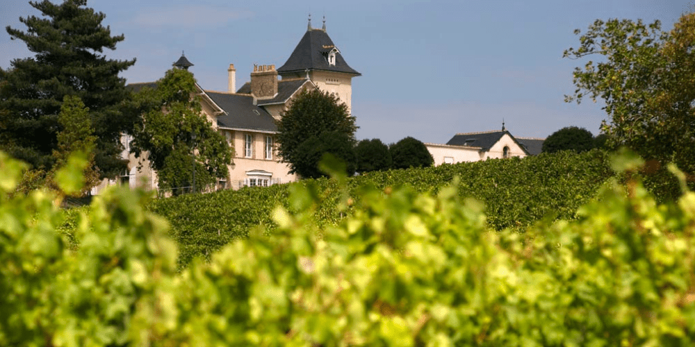 best wine tours in loire valley