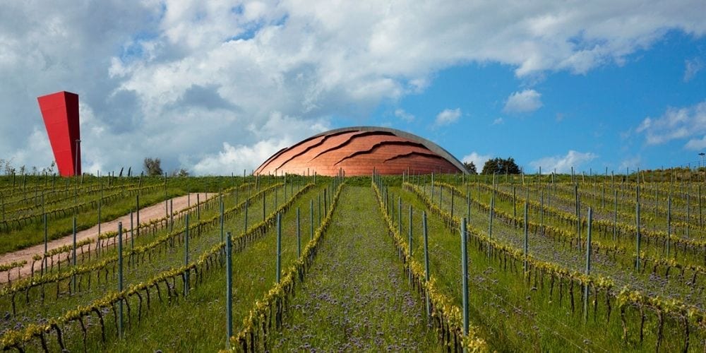 The Carapace from Tenuta Castelbuono