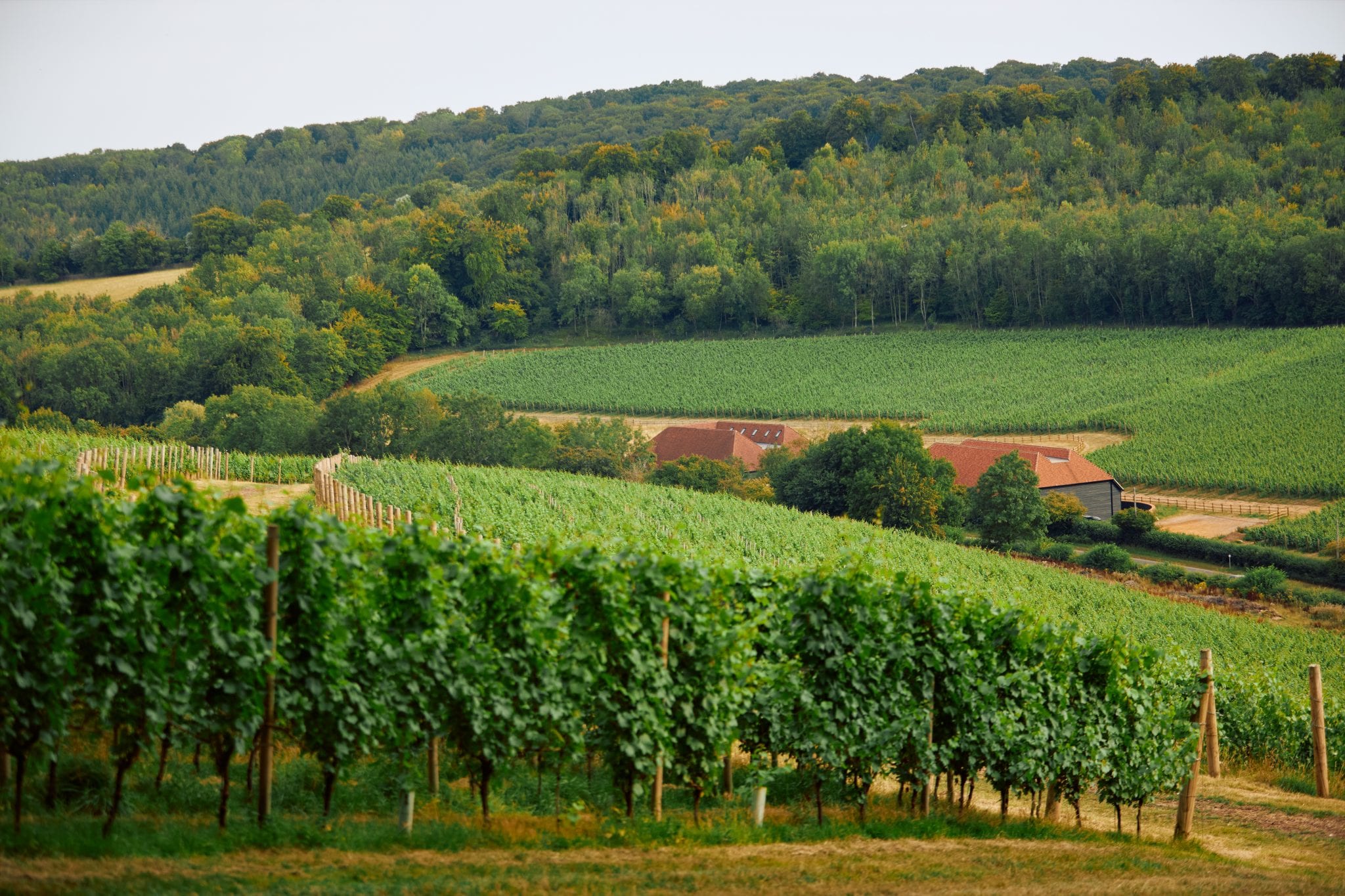 The story behind Hundred Hills winery Winerist Magazine Winerist