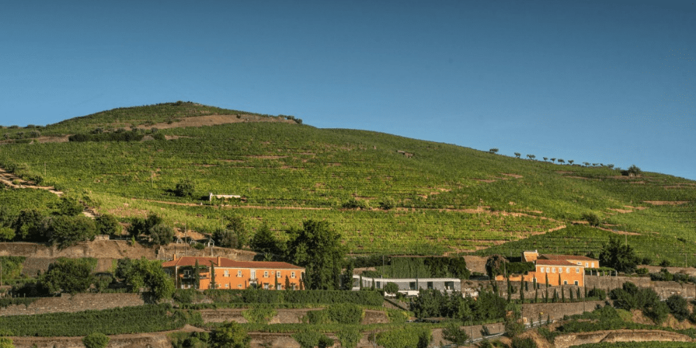 Douro Valley by train and wine tours