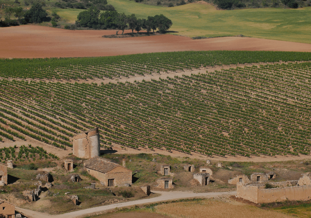 Dominio_de_Atauta_boutique_wineries_Ribera_del_Duero_Winerist