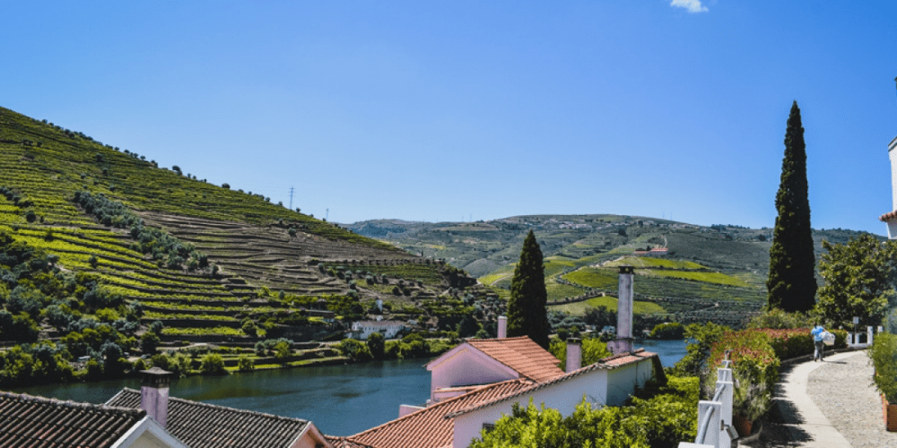 best wine and food tours in the Douro Valley