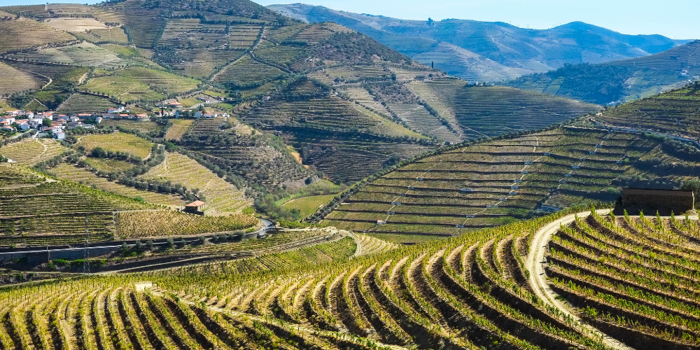 best wine and food tours in the Douro Valley