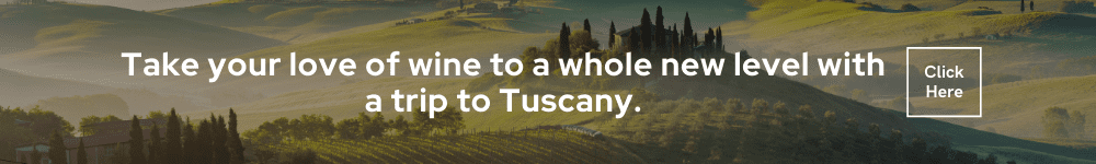 top vineyards to visit in tuscany