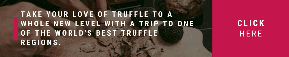 top_truffle_hunting_tours