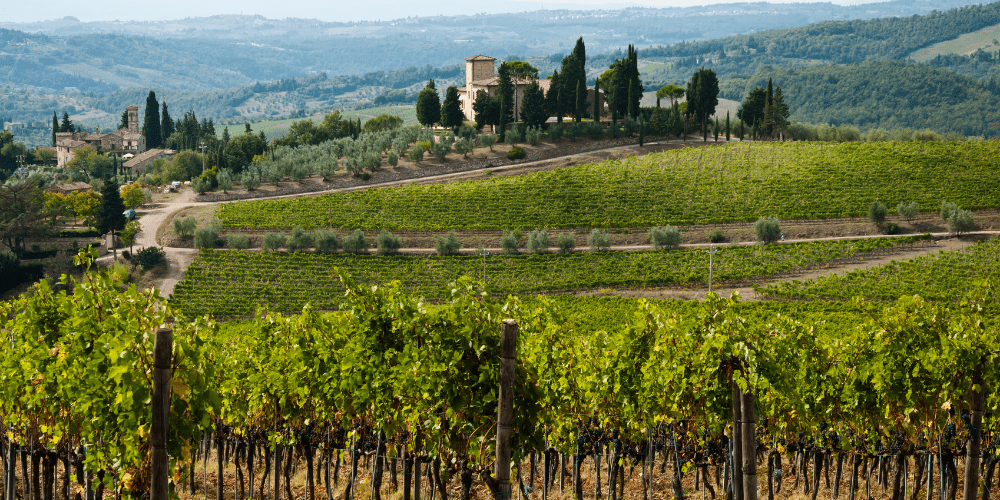 wine tasting tours in Tuscany