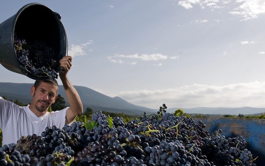 Ventoux rising start of the wine world