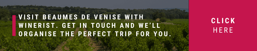 wine lover guide to Beaumes de Venise