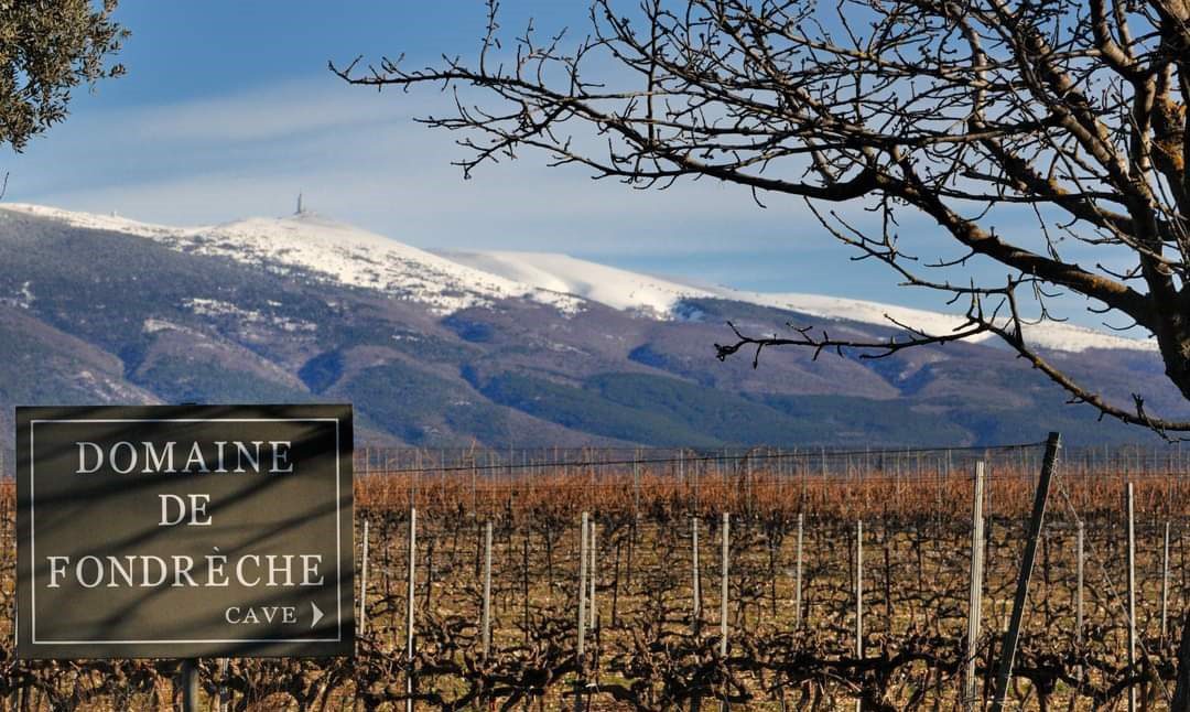 Ventoux rising start of the wine world