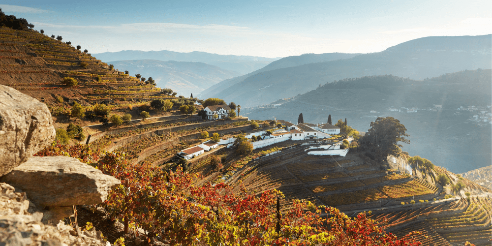 Quinta do Noval estate