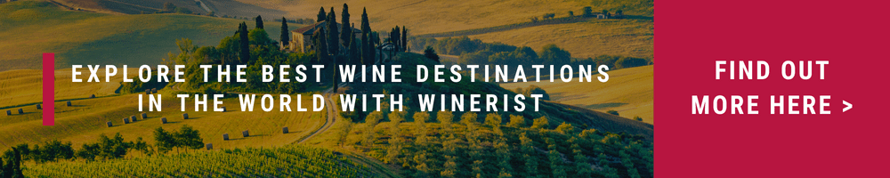 Wine sustainability and wine travel