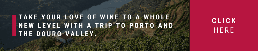 top wine tours in the Douro Valley