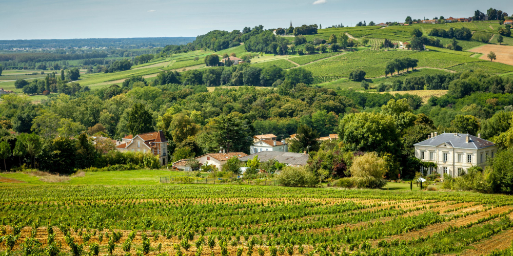 Medoc afternoon wine tour from Bordeaux