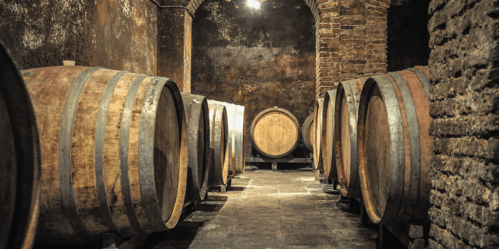 Barcelona wine tours