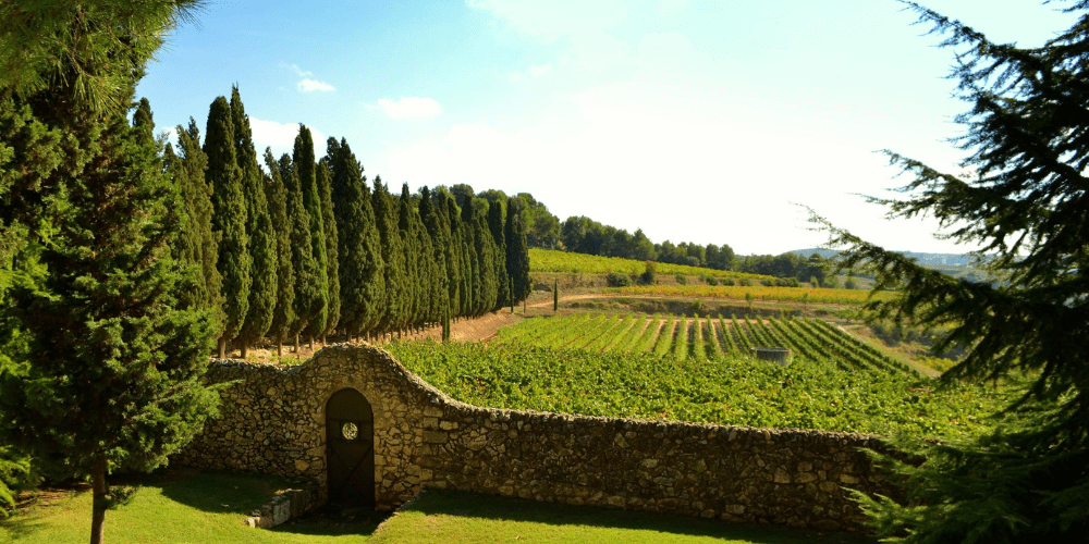 Best wine tours from Barcelona to Cava wineries, Montserrat & El