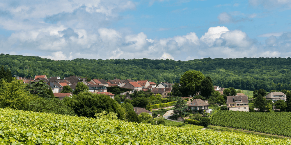Best Wine Tours in Champagne (2)