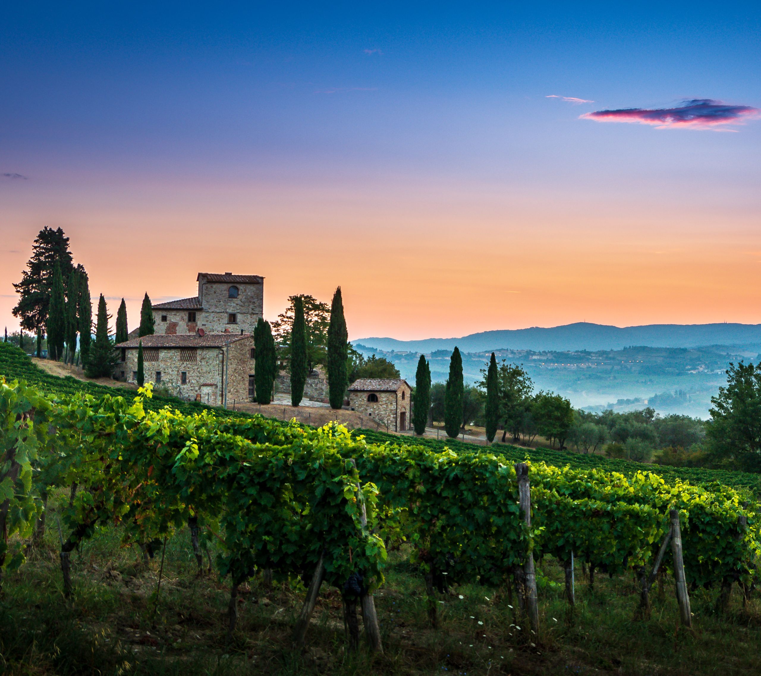best chianti wine tours from florence