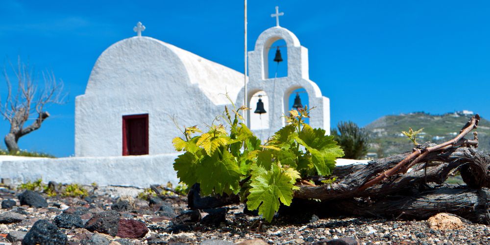 best wine tours in Santorini (6)