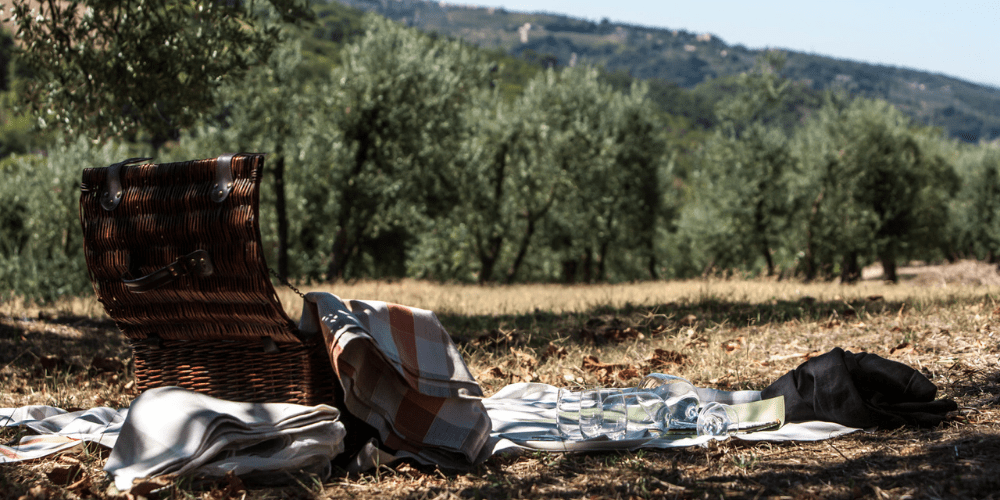 Chianti wine tours from Florence