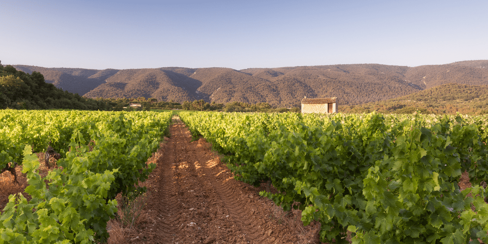 Luberon AOC wines and wine tasting