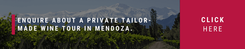 Book private wine tour in Mendoza