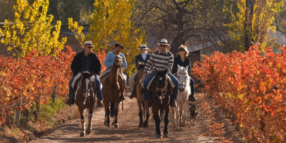 Tailor-made wine tours and tastings in Mendoza horse riding