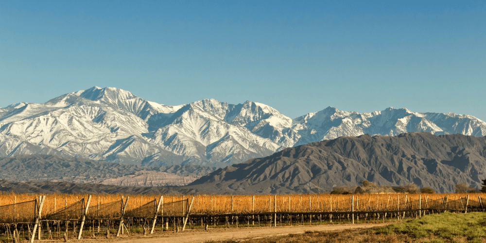 Tailor-made wine tours and tastings in Mendoza_Uco Valley