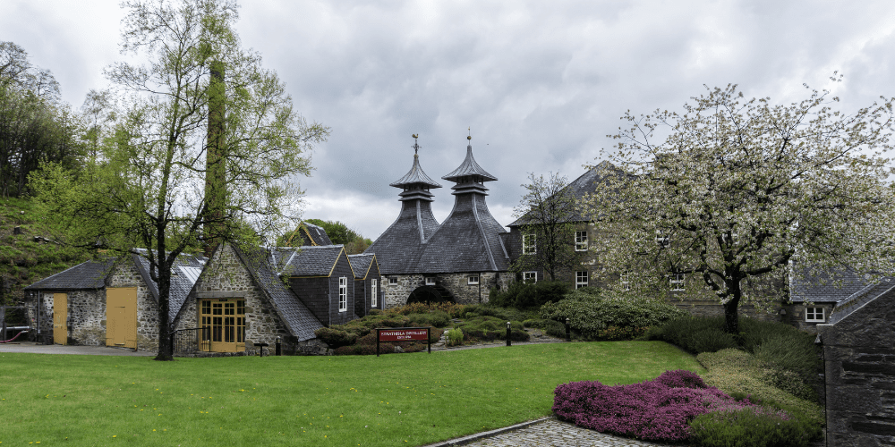 Team building whisky tasting experience