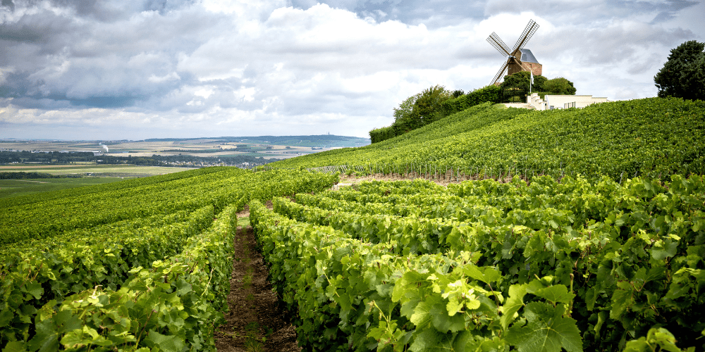 Champagne and Burgundy vineyards join UNESCO World Heritage - LVMH