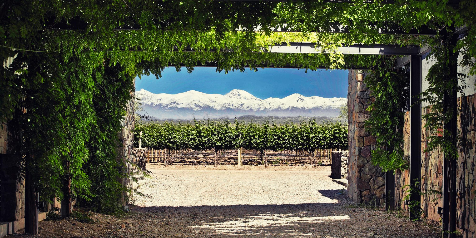 Best-mendoza-private-wine tasting tours