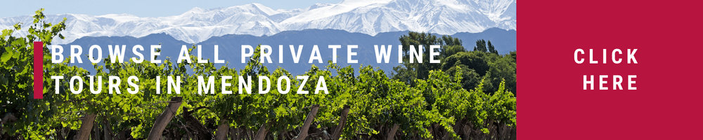 Find private wine tasting tours in Mendoza