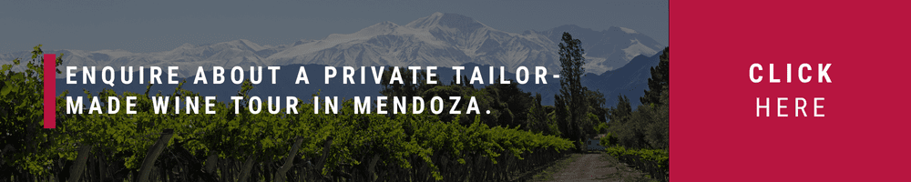Private wine tour in Mendoza_tailor made_bespoke