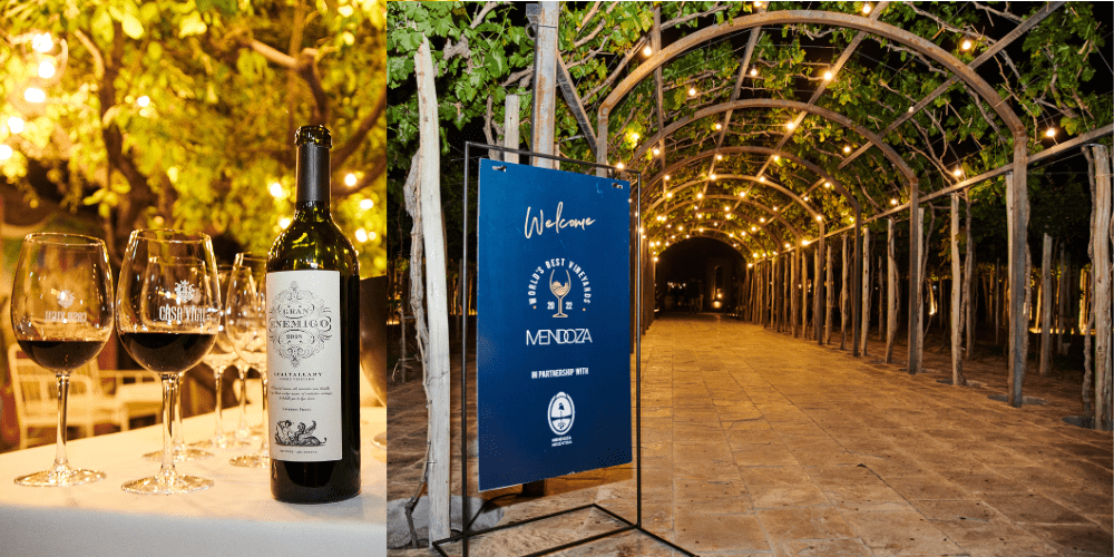 World's Best Vineyards El Enemigo winery visit Mendoza
