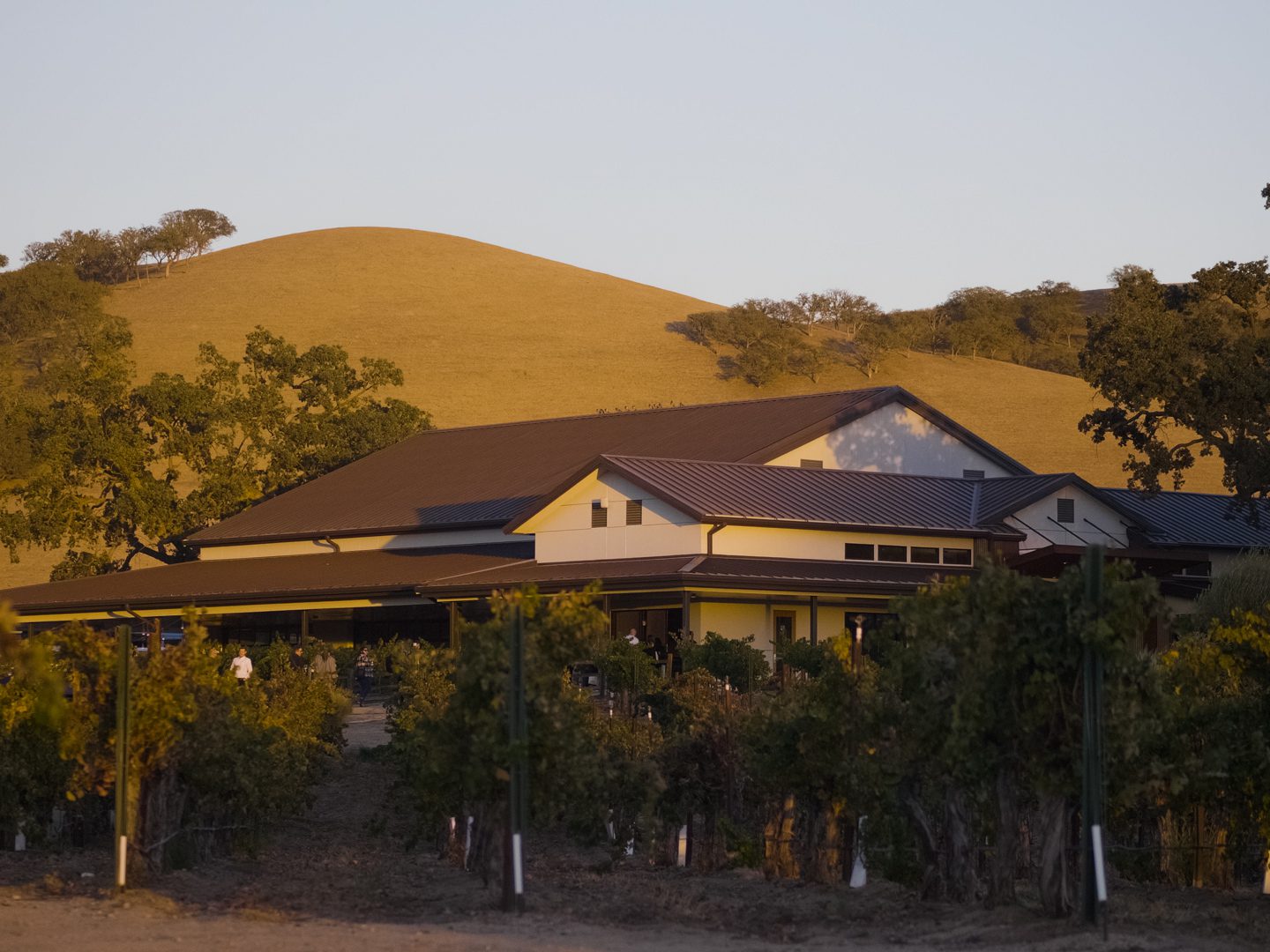 CASS winery in San Luis Obispo