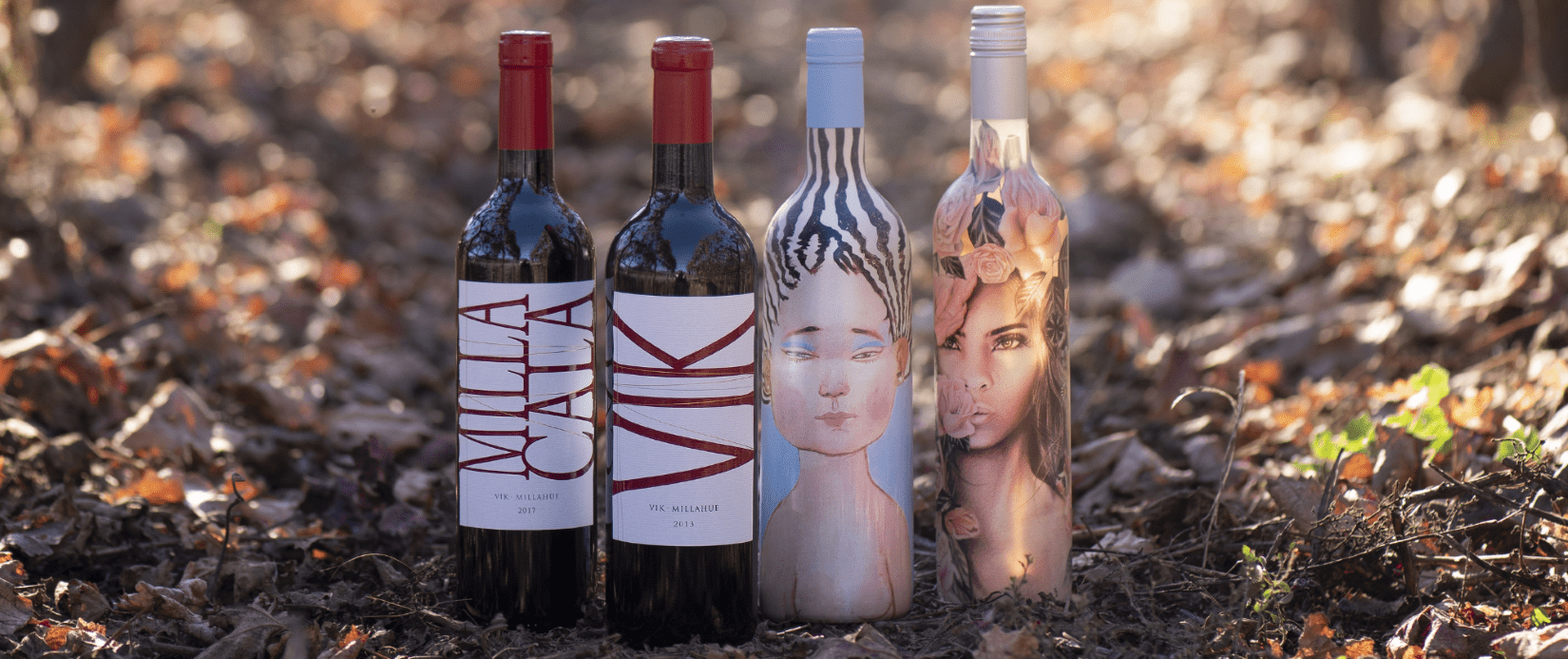 VIK Wines Chile Competition