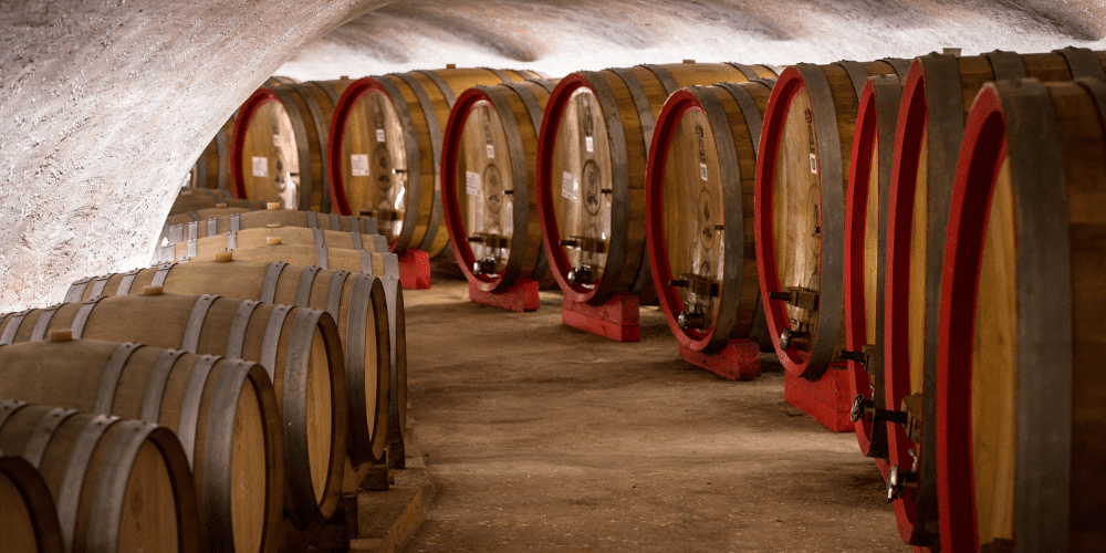 Visit the Euganean Hills wineries