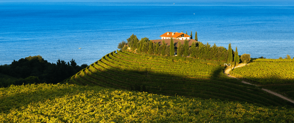 San Sebastian Txakoli wine tour